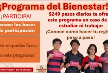 $249 pesos diarios te ofrece este programa en caso de no estudiar ni trabajar ¡Conoce como hacer tu registro paso a paso!