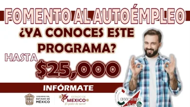 APOYO AL AUTOEMPLEO BIENESTAR| ¿CÓMO OBTENER LA AYUDA DE 25 MIL PESOS?