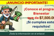 $7,500.00 MXN te da Bienestar por causar alta con solo 3 requisitos a este programa, aquí toda la información