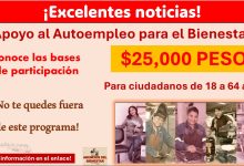 Apoyo al Autoempleo para el Bienestar, programa que ofrece $25,000 pesos, conoce las bases de participación ¡No te quedes fuera de este programa!