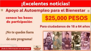 Apoyo al Autoempleo para el Bienestar, programa que ofrece $25,000 pesos, conoce las bases de participación ¡No te quedes fuera de este programa!