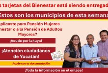 Atención Yucatán: Las tarjetas del Bienestar está siendo entregadas ¡Estos son los municipios de esta semana!