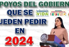 Programas de Apoyo del Gobierno Mexicano en 2024