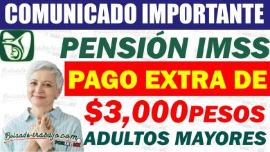 Pensión IMSS Pago Extra de $3,000 pesos en Pago ¡Así Puedes Obtenerlo🥳