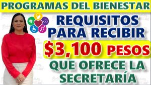 Programas para el Bienestar. ¿Cuáles son los requisitos para solicitar el apoyo de 3 mil 100 pesos que ofrece la Secretaría de Bienestar?