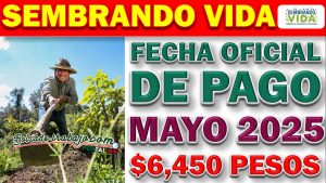 ¿Cuándo será el siguiente pago de Sembrando Vida?