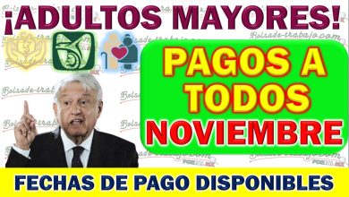 Detalles Importantes Sobre los Pagos de Noviembre para Beneficiarios de diferente Pensiones