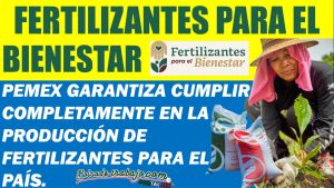 Fertilizantes para el Bienestar: Pemex garantiza cumplir completamente en la producción de fertilizantes para el país.