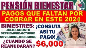 ¿Cuándo se reanuda la Pensión Bienestar, cuántos pagos hacen falta por hacer y donde puedo ir por mi dinero?