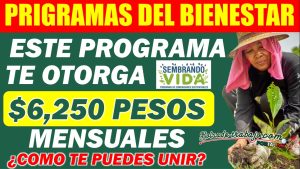 Programas para el Bienestar. ¿Cuál es el programa que otorga 6 mil 250 pesos al mes? y ¿De que manera uno a este programa?