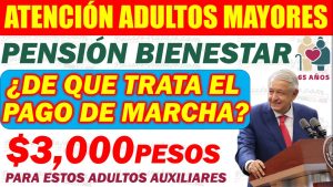 Programas para el Bienestar. ¿De que trata el Pago de Marcha?