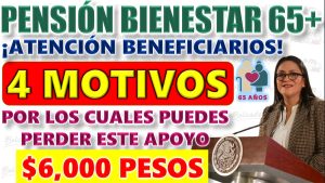 4 motivos por los cuáles puedes perder los beneficios de la Pensión Bienestar