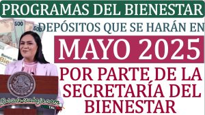 Programas del gobierno que entregarán sus pagos en mayo del 2025.