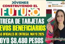 BOL 2 376