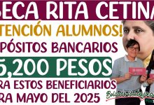BOL 2 377