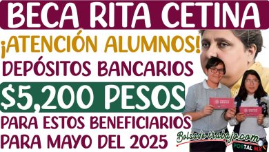 BOL 2 377