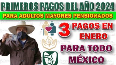 Fechas de Pagos de Pensiones