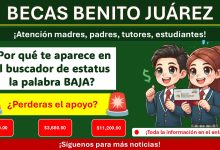 Beca Benito Juárez - ¿Por qué te aparece en el buscador de estatus la palabra BAJA?