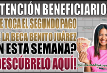 Beca Benito Juárez: ¿Te toca el segundo pago de 2024 esta semana? Descúbrelo aquí