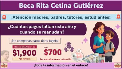 Beca Rita Cetina 2025: ¿Cuántos pagos faltan este año y cuando se reanudan?