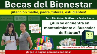 Beca Rita Cetina Gutiérrez y Benito Juárez: ¿Aún se encuentra en mantenimiento el Buscador de Estatus?