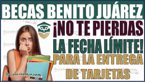 Becas Benito Juárez 2024: ¡No te pierdas la fecha límite para la entrega de tarjetas y cómo solicitarla!