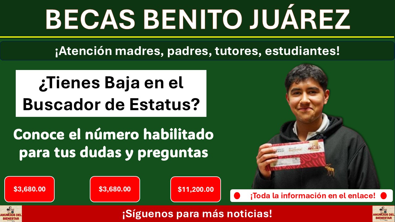 Becas Benito Juárez - ¿Tienes Baja en el Buscador de Estatus? Conoce el número habilitado para tus dudas y preguntas