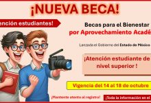 Becas para el Bienestar por Aprovechamiento Académico – ¿Eres estudiante universitario? Conoce los requisitos y como aplicar a esta beca