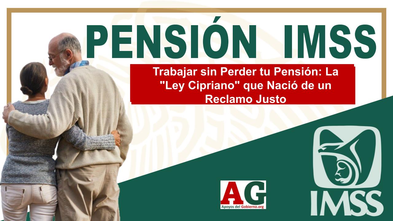 Trabajar sin Perder tu Pensión: La "Ley Cipriano" que Nació de un Reclamo Justo 1 Trabajar sin Perder tu Pensión: La "Ley Cipriano" que Nació de un Reclamo Justo