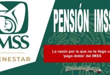 La razón por la que no te llegó un 'pago doble' del IMSS