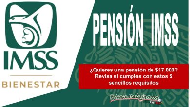 ¿Quieres una pensión de $17,000? Revisa si cumples con estos 5 sencillos requisitos