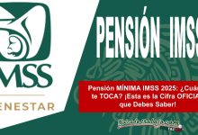 Bolsa de Trabajo PENSION ISSSTE IMSS RADIO Y APOYO 7