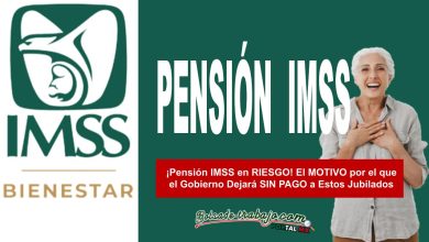 ¡Pensión IMSS en RIESGO! El MOTIVO por el que el Gobierno Dejará SIN PAGO a Estos Jubilados