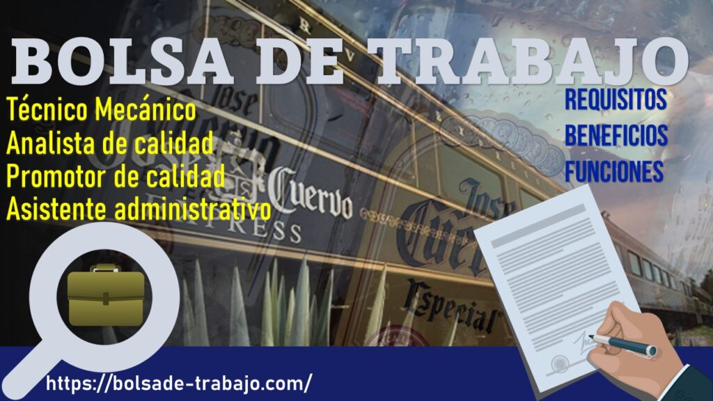 Bolsa De Trabajo Insabi 2024 2025 Enero Portal Mx