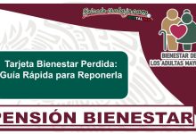 Tarjeta Bienestar Perdida: Guía Rápida para Reponerla