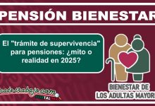 El "trámite de supervivencia" para pensiones: ¿mito o realidad en 2025?