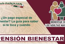 ¿Un pago especial de Bienestar? La guía para saber si te toca y cuándo