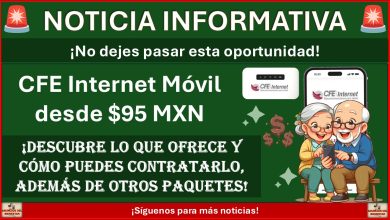 CFE Internet Móvil desde $95 MXN: Lo que ofrece y cómo puedes contratarlo