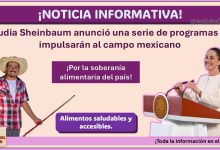 Claudia Sheinbaum anunció una serie de programas que impulsarán al campo mexicano, conoce de que trata