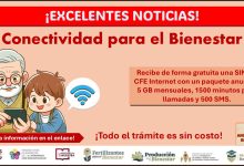 Conectividad para el Bienestar - ¡Conoce los documentos solicitados para recibir gratis una SIM de CFE Internet de 5 GB al mes al año, 1500 minutos para llamadas y 500 SMS!