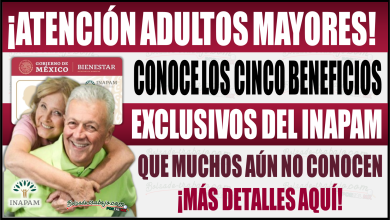 Conoce los cinco beneficios exclusivos que muchos adultos mayores aún no conocen del INAPAM