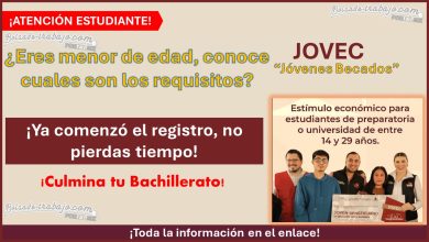 Convocatoria JOVEC “Jóvenes Becados” - ¿Cuáles son los requisitos para esta beca si eres menor de edad? ¡Conoce toda la información!