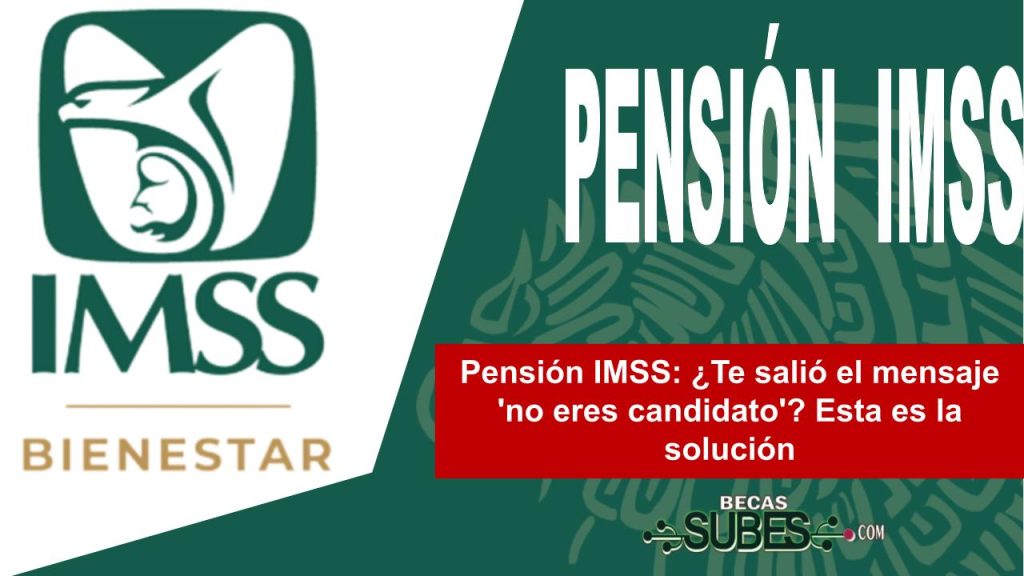 Pensión IMSS: ¿Te salió el mensaje 'no eres candidato'? Esta es la solución