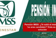 Pensión IMSS: ¿Te salió el mensaje 'no eres candidato'? Esta es la solución