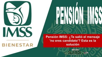 Pensión IMSS: ¿Te salió el mensaje 'no eres candidato'? Esta es la solución
