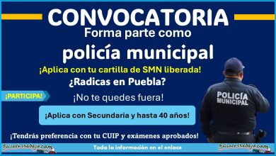 ¿Cuentas con tu CUIP? – Conoce la convocatoria de reclutamiento: Requisitos y documentos solicitados por el H. Ayuntamiento de Xicotepec que está reclutando con estudios mínimos de Secundaria y 40 años