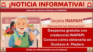 Despensa gratuita con credencial INAPAM: Conoce cómo obtenerla en Gustavo A. Madero
