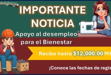 El gobierno del estado de México a través de la Secretaría del Trabajo emite apoyo al desempleo para el Bienestar, aquí te brindamos toda la información para recibir hasta 6 pagos de $2,000.00 MXN