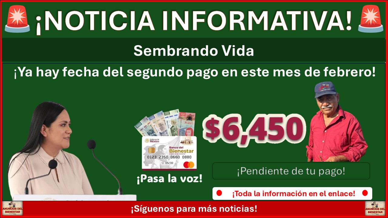 El segundo pago del programa “Sembrando vida” ya tiene fecha de depósito ¡Pendiente a la fecha de este mes de febrero!