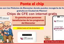 Entrega de tarjetas SIM CFE Internet – Estos son los Módulos de Bienestar donde puedes recogerla de forma gratuita en Ciudad de México